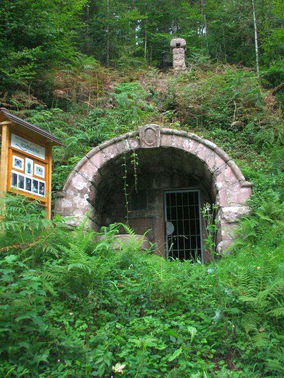 Hotel Sonnenhof Teinachtal Neuweiler  Екстер'єр фото